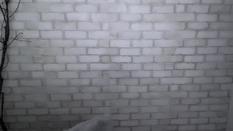 Ana online show from 12/30/24, 01:36