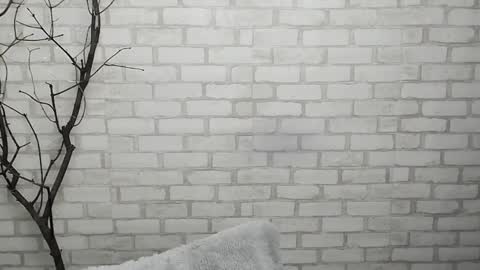 Ana online show from 01/28/25, 12:43