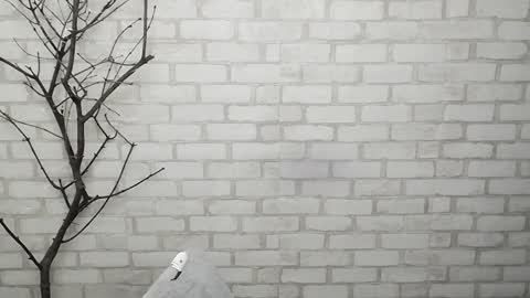 Ana online show from 02/03/25, 02:34