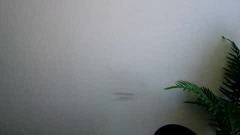 Ana online show from 02/05/26, 09:14