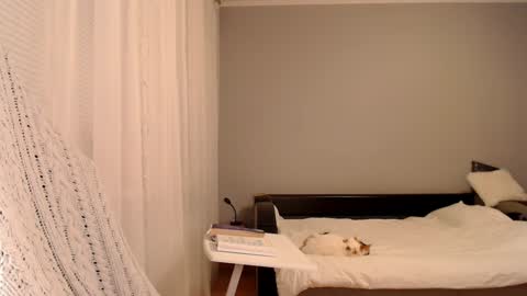 Snapshot of vibezgirl chatting on 02/05/25, 05:09 Amelia online show from 02/05/25, 05:09