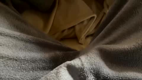 vicio online show from 01/17/26, 04:43