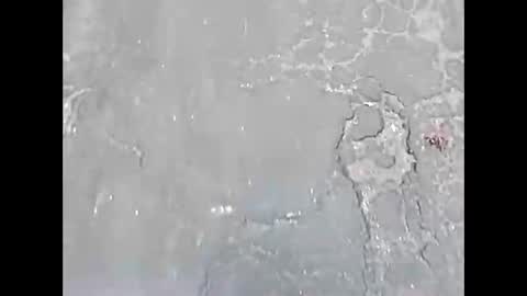 Snapshot of viciouzz1 chatting on 11/24/25, 07:02 viciouzz1 online show from 11/24/25, 07:02