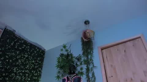 Victoria   online show from 03/25/26, 10:05