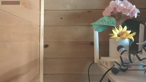 vickyvalencia2 online show from 05/26/26, 02:13