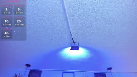 Viiolett online show from 02/24/25, 01:24