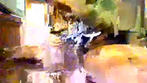 viizin online show from 02/23/25, 06:28