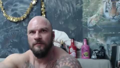 Snapshot of viking_me chatting on 02/25/26, 08:51 viking online show from 02/25/26, 08:51