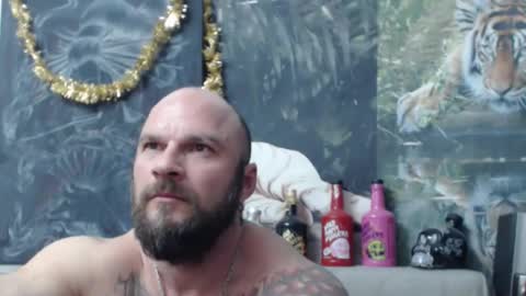 viking online show from 03/17/26, 06:55