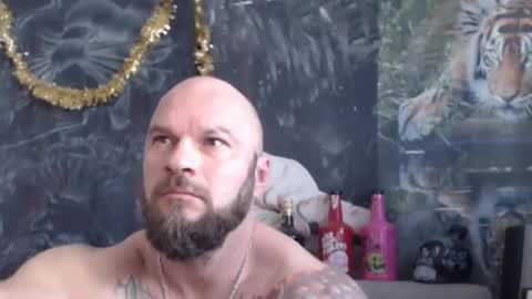 viking online show from 03/31/26, 10:26