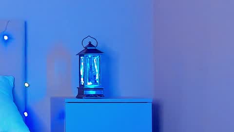 Snapshot of vikkilustfull chatting on 12/29/24, 06:27 VIKKI online show from 12/29/24, 06:27