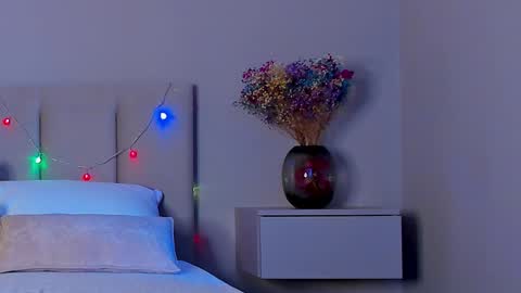 Snapshot of vikkilustfull chatting on 01/05/25, 06:24 VIKKI online show from 01/05/25, 06:24