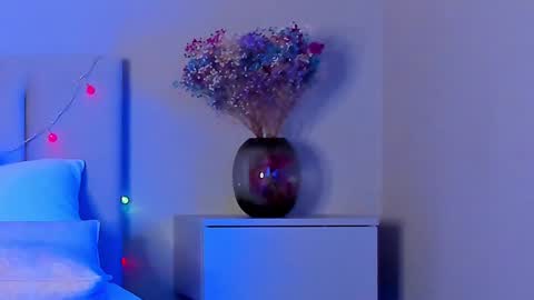 Snapshot of vikkilustfull chatting on 01/17/25, 06:44 VIKKI online show from 01/17/25, 06:44