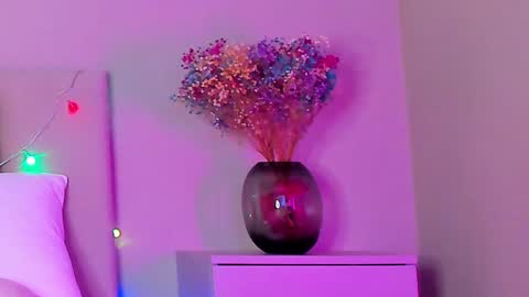 Snapshot of vikkilustfull chatting on 01/25/25, 06:35 VIKKI online show from 01/25/25, 06:35