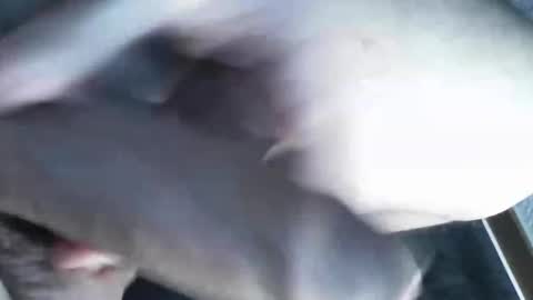 Snapshot of viktorklubb chatting on 03/08/25, 11:39 online show from 03/08/25, 11:39