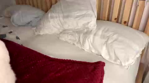 Vince online show from 02/01/25, 10:23