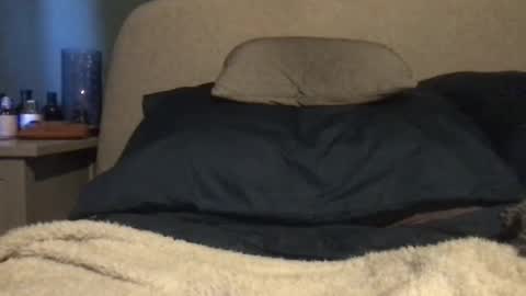 Snapshot of vinny440 chatting on 03/03/25, 11:00 Vinny online show from 03/03/25, 11:00