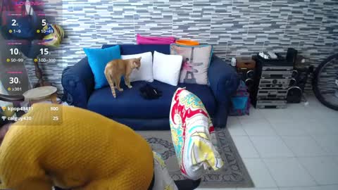 Violeta Gmez online show from 04/01/26, 04:37