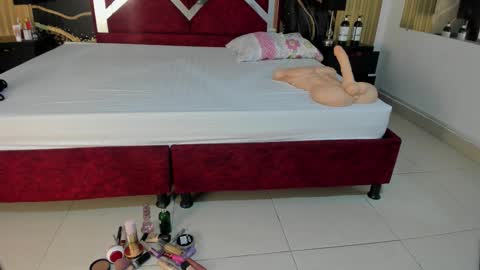 Snapshot of violetrose_as chatting on 12/17/25, 08:48 Violet Rose online show from 12/17/25, 08:48