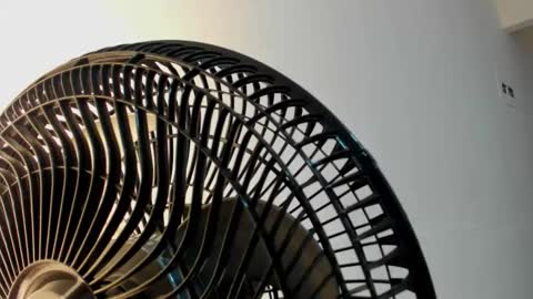 Snapshot of violetrose_as chatting on 01/05/26, 08:12 Violet Rose online show from 01/05/26, 08:12