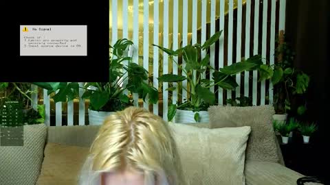 Violetta online show from 01/18/26, 01:15