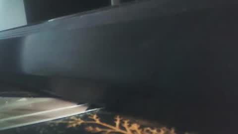 Snapshot of vip_90_daniele chatting on 12/17/25, 10:54 vip_90_daniele online show from 12/17/25, 10:54