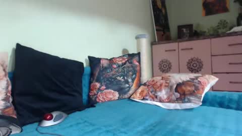 Viva online show from 03/11/25, 08:31