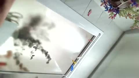 Snapshot of vivid_ether chatting on 12/06/24, 11:54 Viv online show from 12/06/24, 11:54