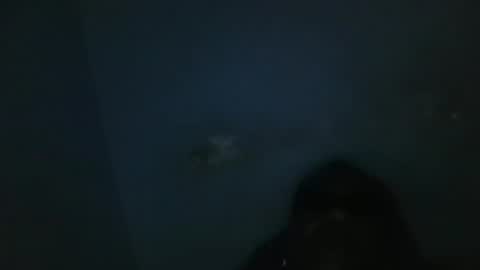 vivitransbahia22cm online show from 02/12/25, 10:24