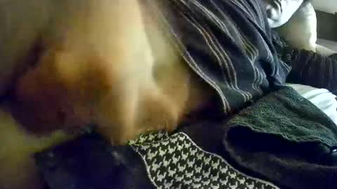 Snapshot of vleeslollie2024 chatting on 01/13/25, 07:21 vleeslollie2024 online show from 01/13/25, 07:21