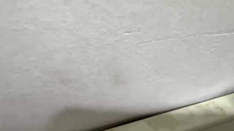 vmontel88 online show from 03/17/26, 01:36