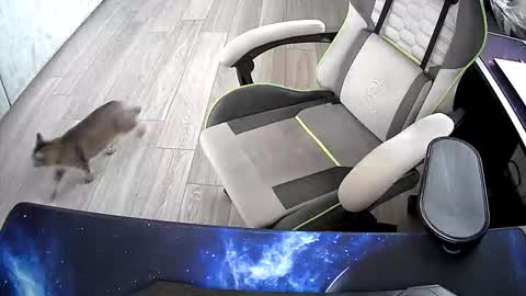 Vonn online show from 10/21/25, 06:47