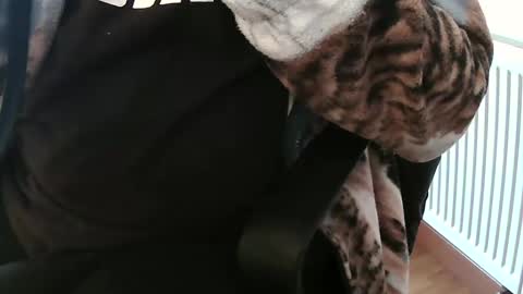 Snapshot of vulkan12p chatting on 02/04/25, 02:10 Daniel online show from 02/04/25, 02:10