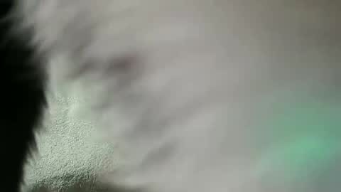 Snapshot of vulkan12p chatting on 02/28/25, 07:56 Daniel online show from 02/28/25, 07:56