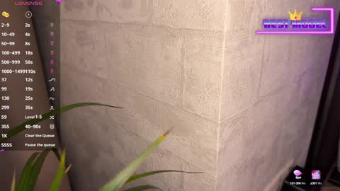 Snapshot of walt_enjoy chatting on 02/01/25, 08:26 Walt Enjoy online show from 02/01/25, 08:26