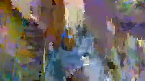 Walter online show from 01/08/25, 10:37