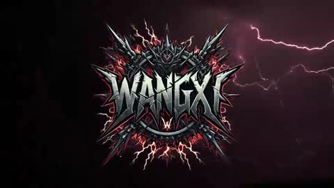 Snapshot of wangxi__ chatting on 05/29/26, 11:47 Wangxi last account Wangxi online show from 05/29/26, 11:47