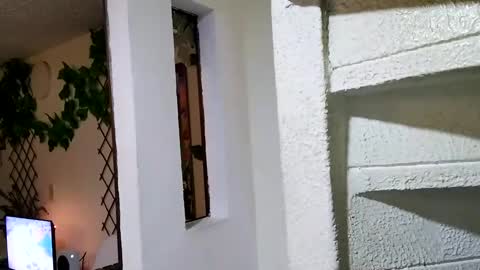 Snapshot of waningrosee chatting on 01/04/25, 02:25 Waningrose Lu online show from 01/04/25, 02:25