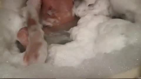 wankster101 online show from 04/20/26, 02:58