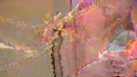 Snapshot of want2cum4gal chatting on 12/29/24, 10:47 want2cum4gal online show from 12/29/24, 10:47