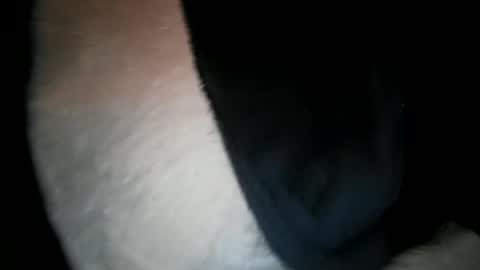 wantobone2 online show from 02/09/26, 11:14