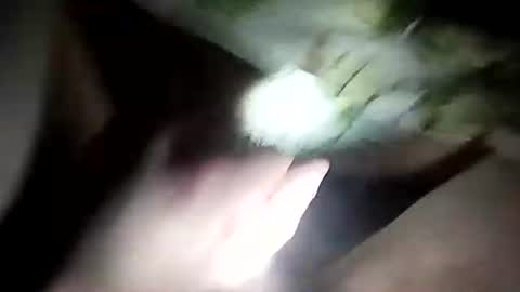 wariatos3 online show from 01/10/25, 12:17