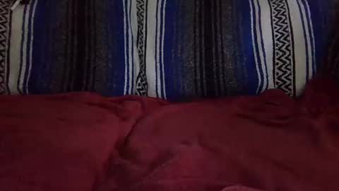 Warishcow online show from 12/11/24, 12:02