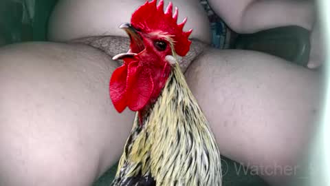 classified online show from 11/09/25, 08:29