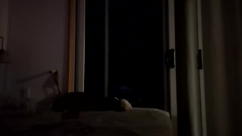 watershed111111 online show from 01/14/26, 03:56