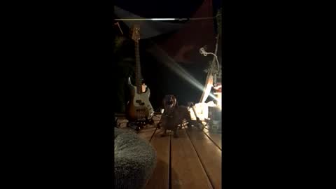 watershed111111 online show from 02/19/26, 03:13