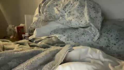 waveonce online show from 03/29/26, 11:32