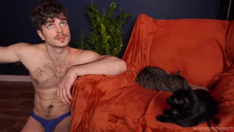 Snapshot of waynenorth chatting on 11/22/25, 04:39 waynenorth online show from 11/22/25, 04:39