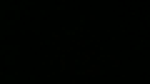 weeskank online show from 10/05/25, 06:17