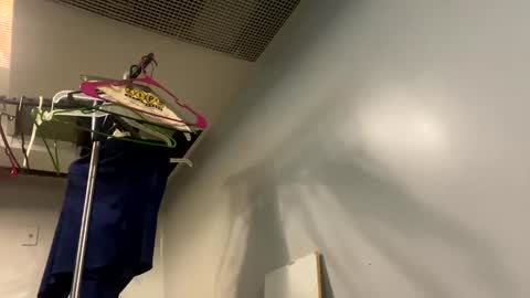 well_ndowed online show from 01/02/25, 07:40